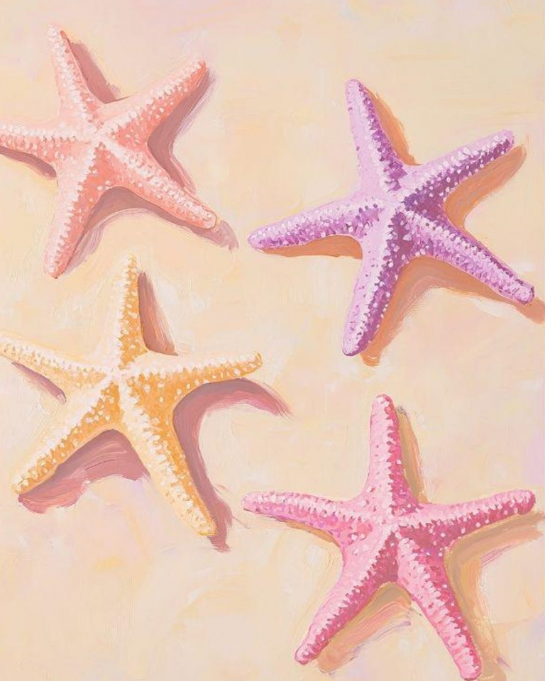 starfish Bonnie Bonsall