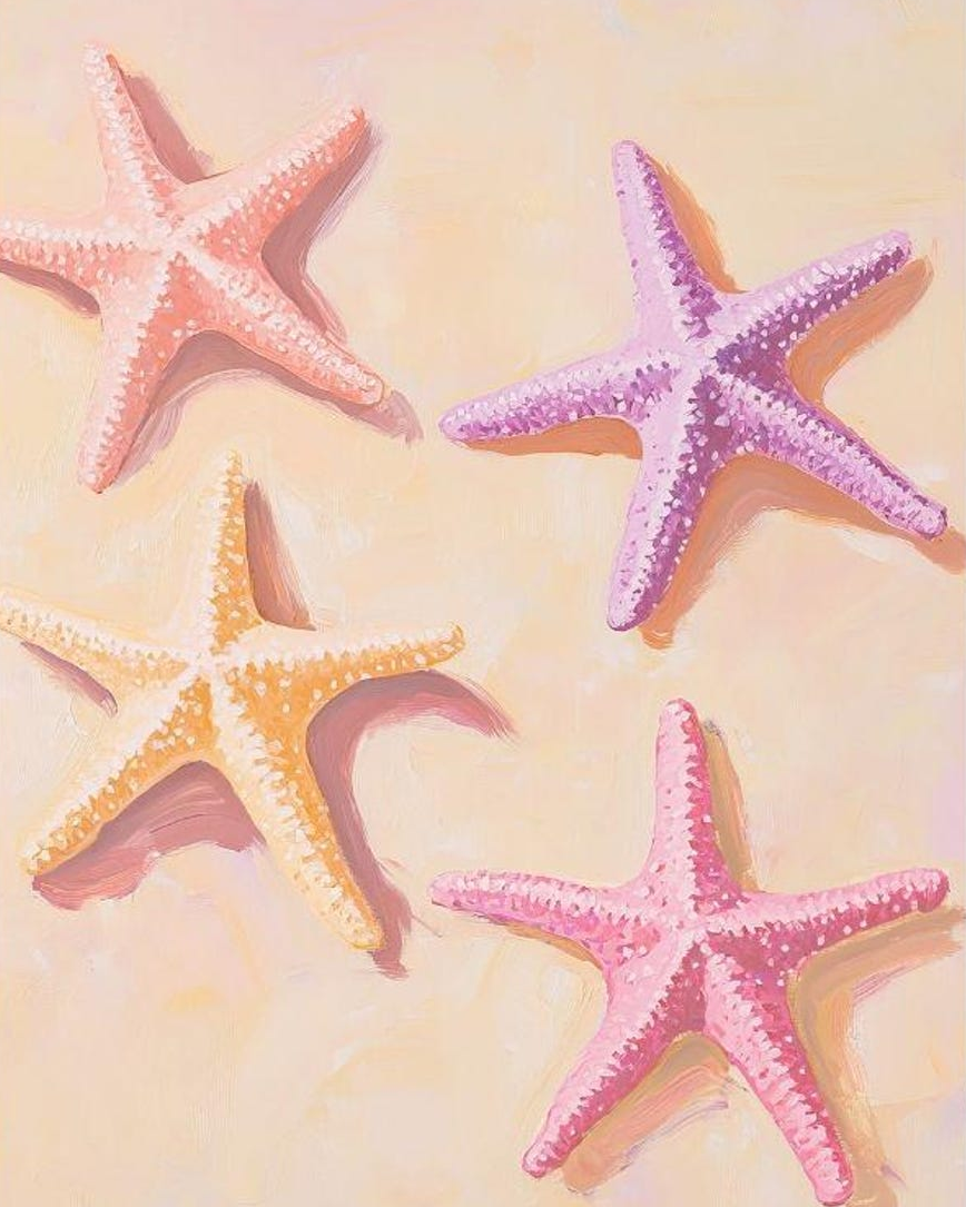 starfish Bonnie Bonsall