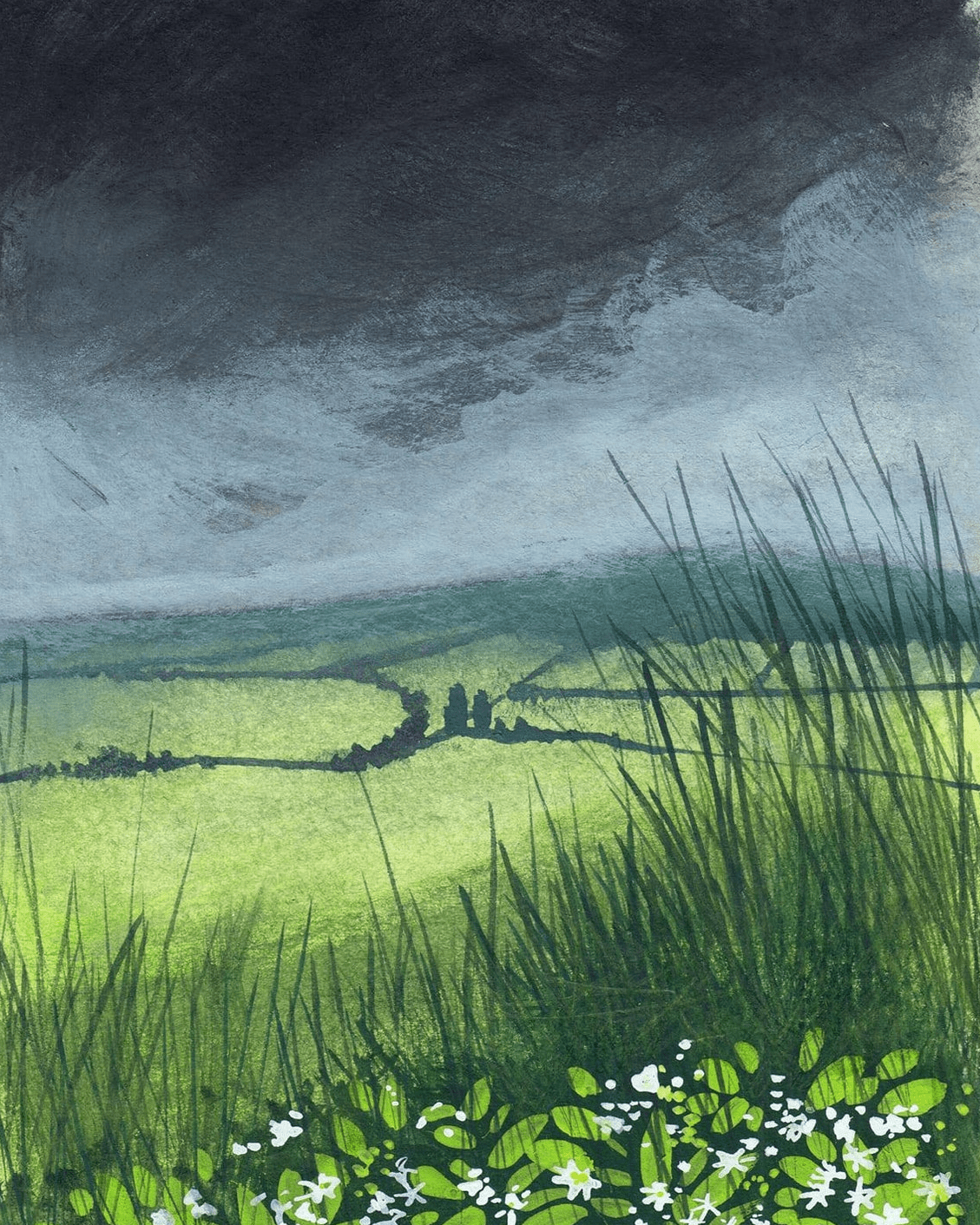 the approaching storm Kate Brazier