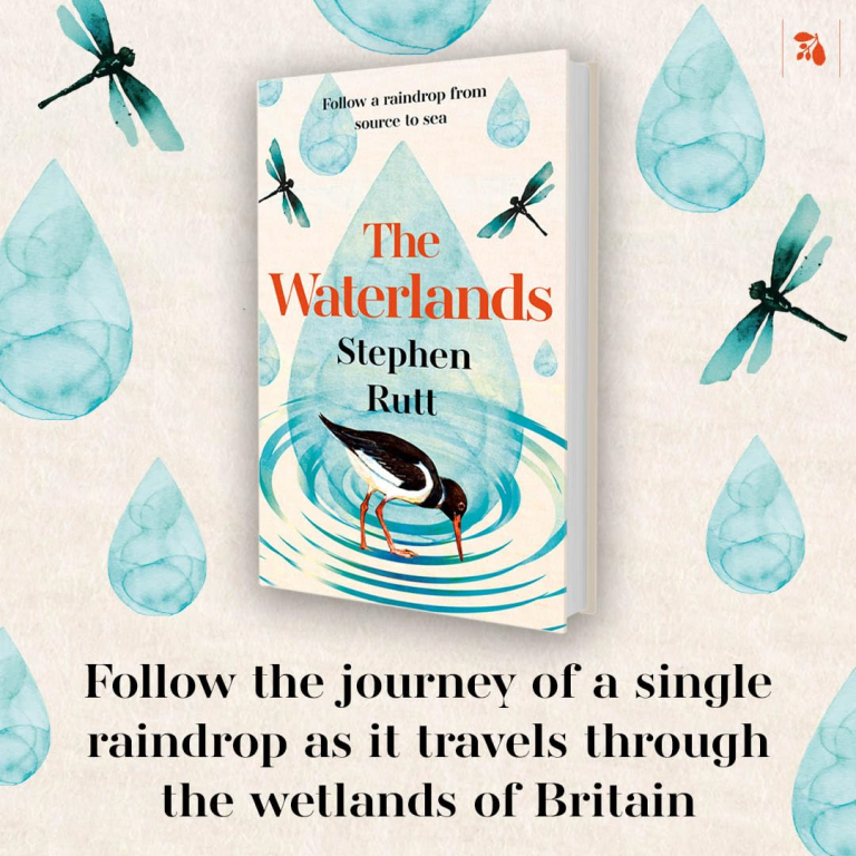 The Waterlands (follow a raindrop from source to sea)