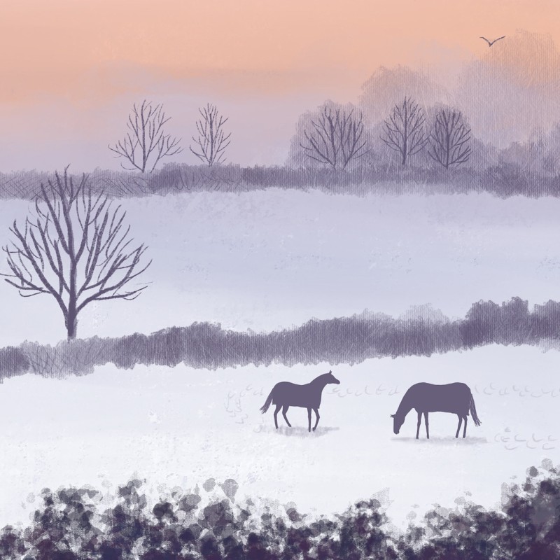 winter glow Jo Grundy