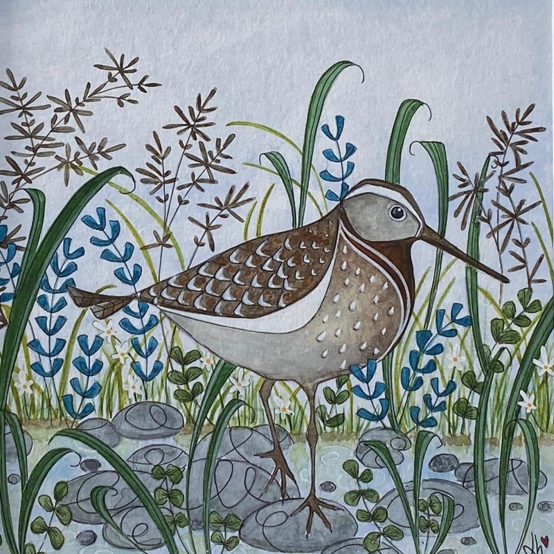 sandpiper
