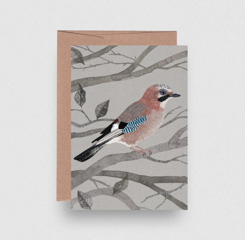 blue jay eco greetings card