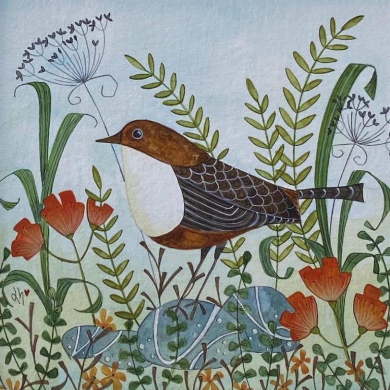 dipper bird Linda Hoskin