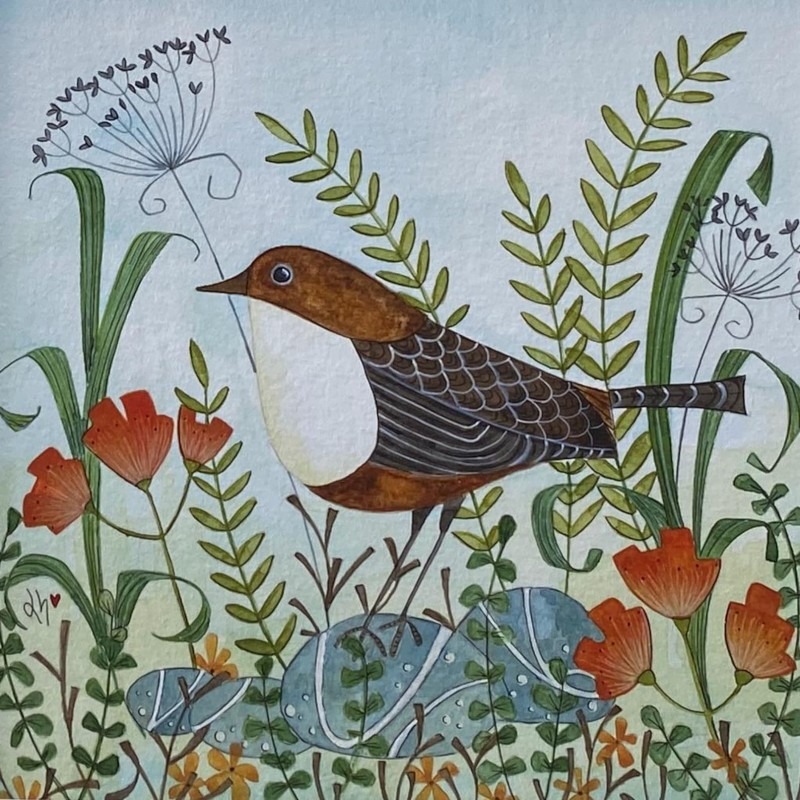 dipper bird Linda Hoskin