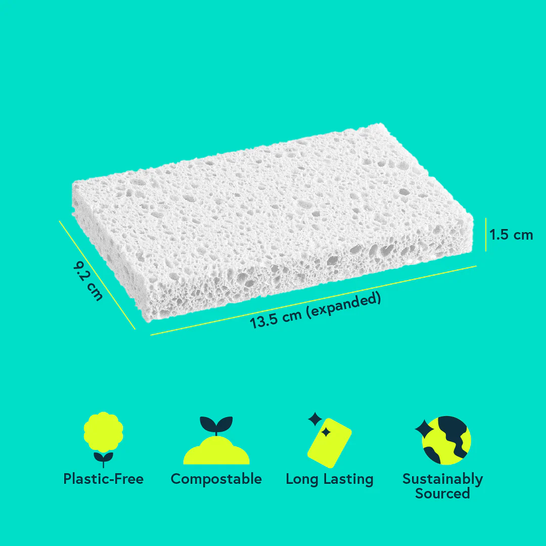 eco pop-up sponges