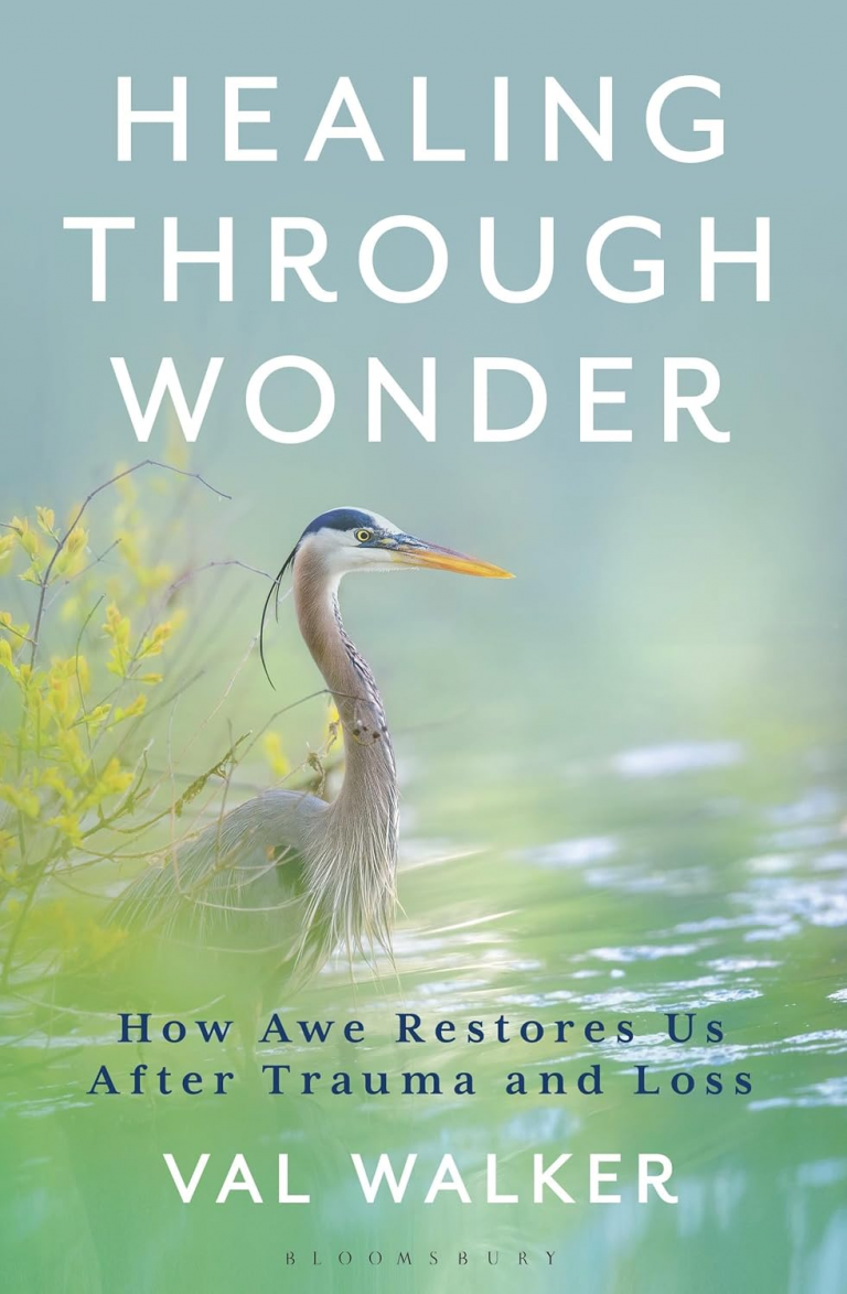 healing through wonder