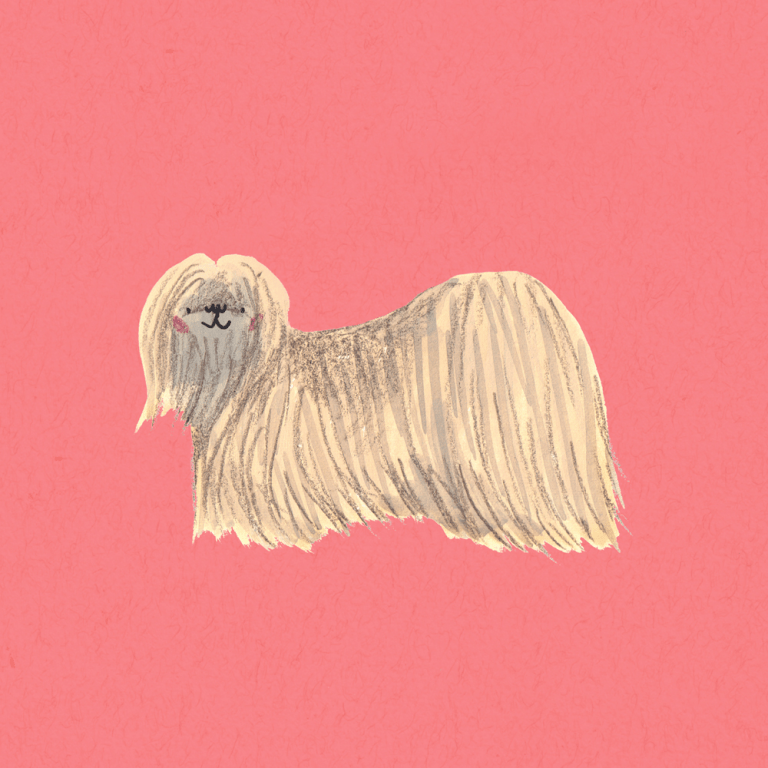 lovely dog Emma Block