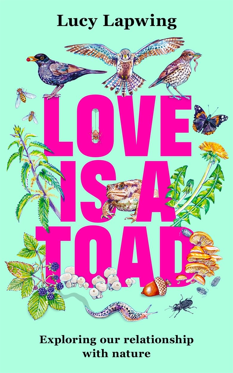love is a toad