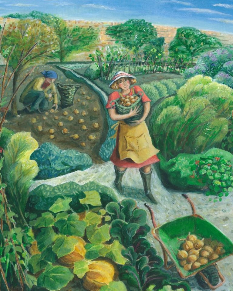 onion harvest Jenny Beck