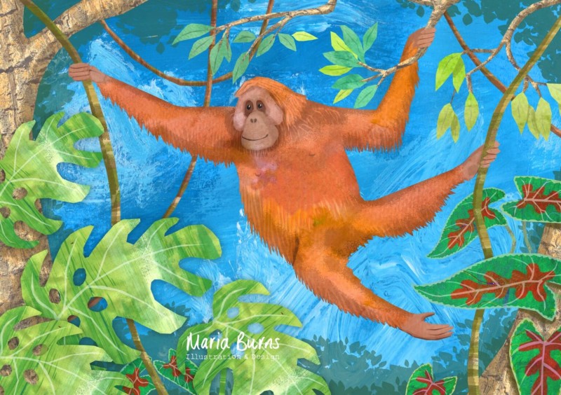 orangutan Maria Burns