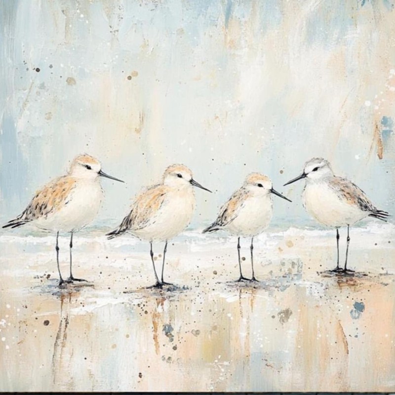 Sandpipers