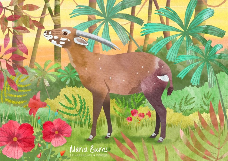 soala Maria Burns