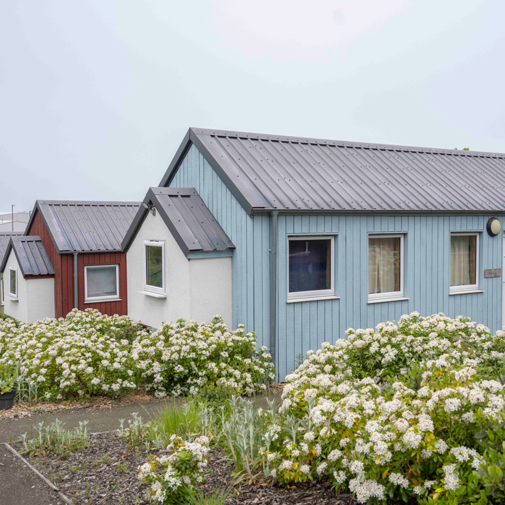 social bite village
