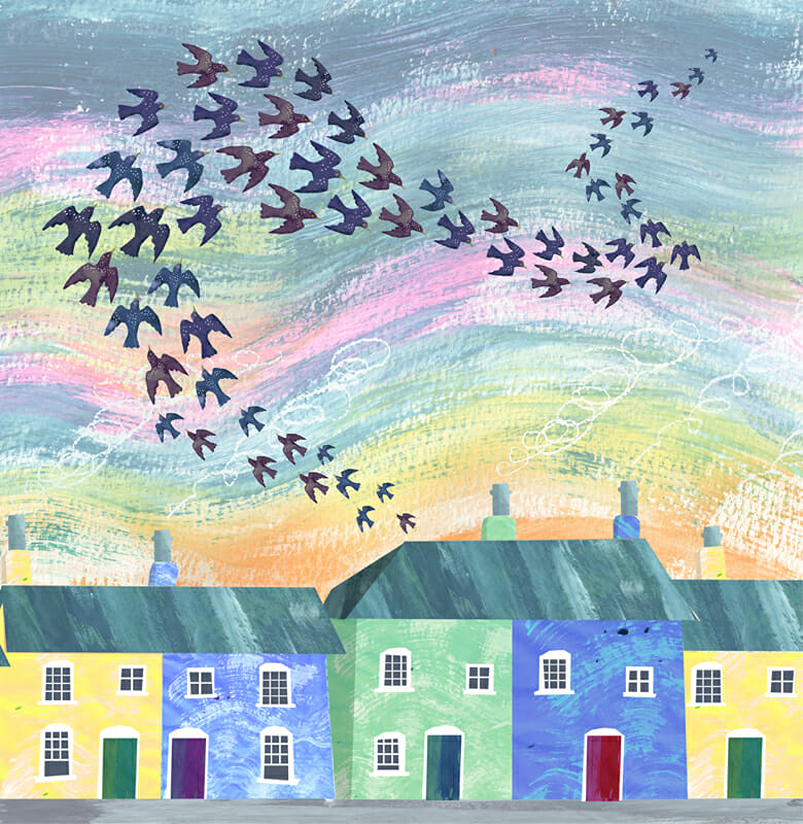 starling murmuration Maria Burns