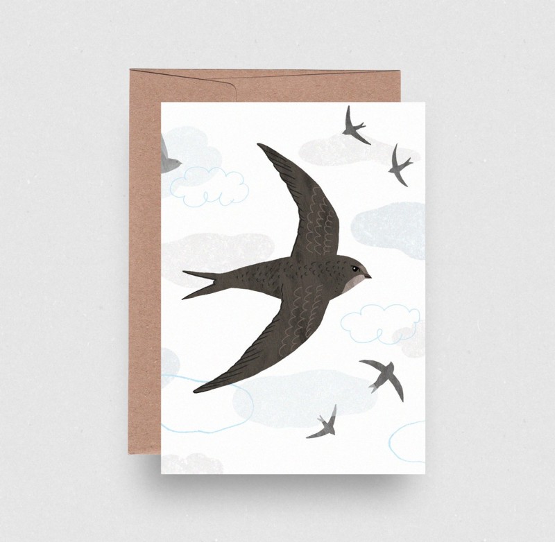 swift eco greetings card