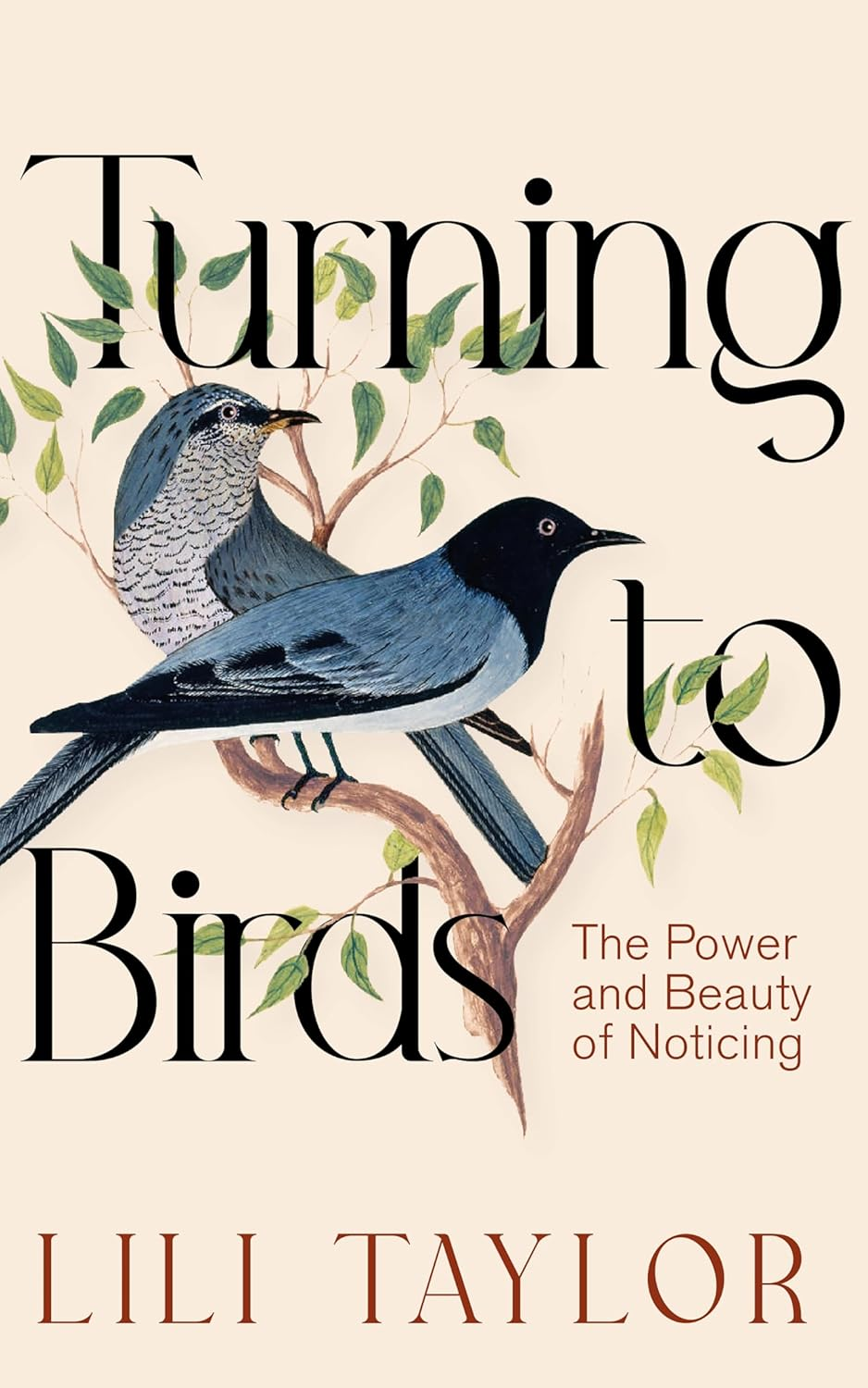 turning to birds