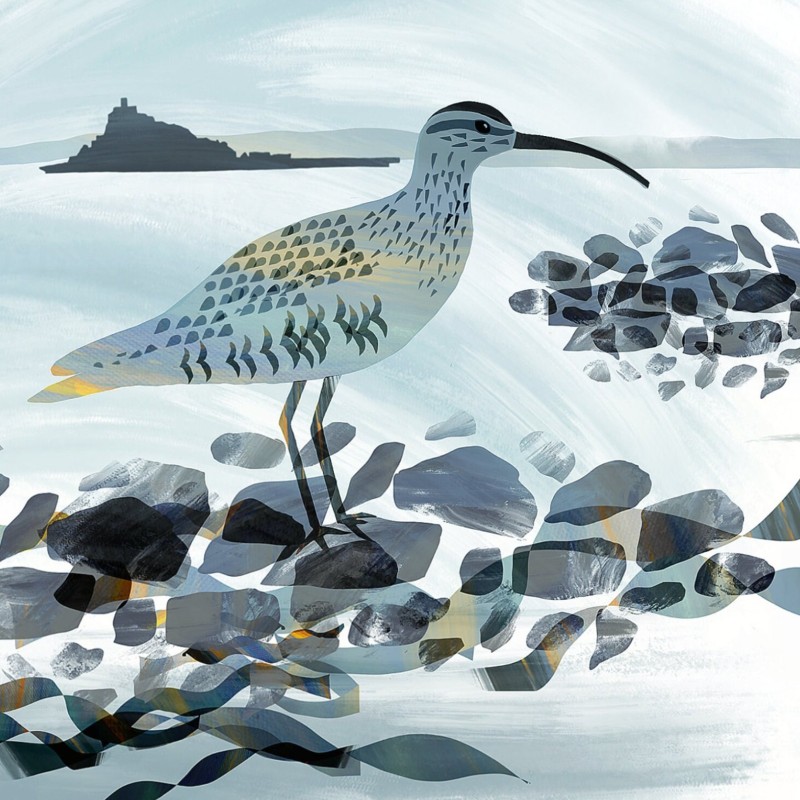 whimbrel Gill Wild