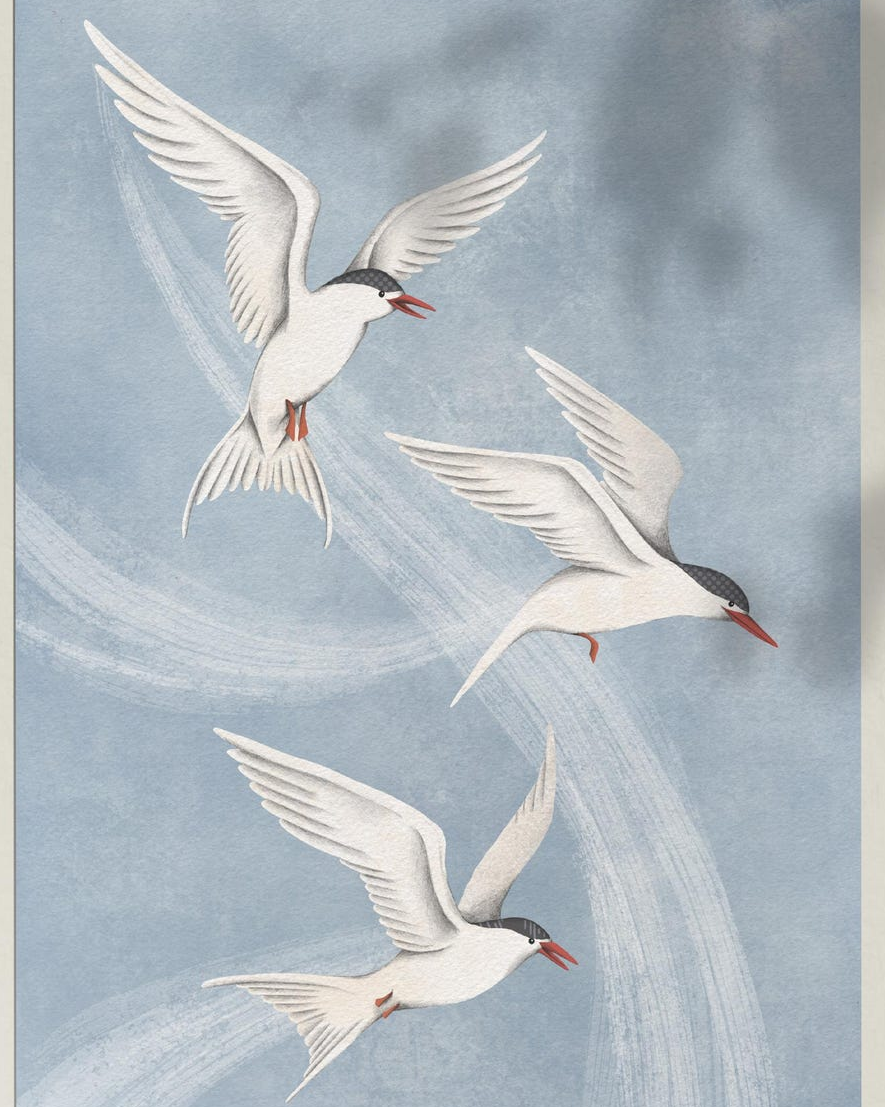 Arctic terns