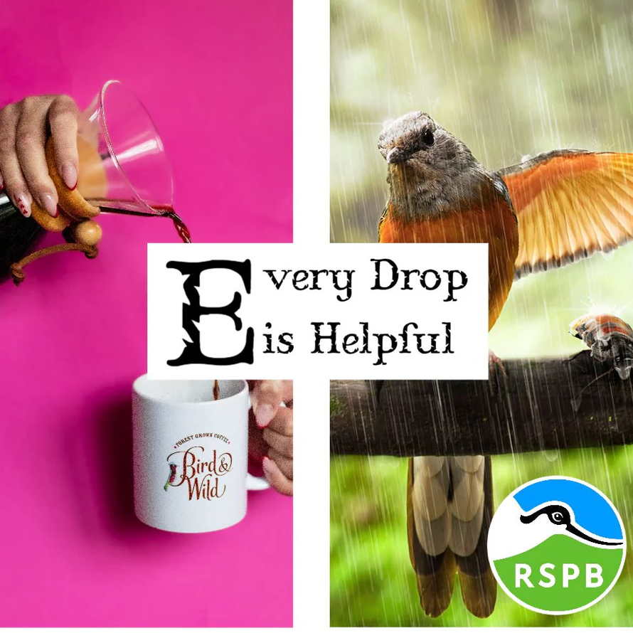 Bird & Wild coffee