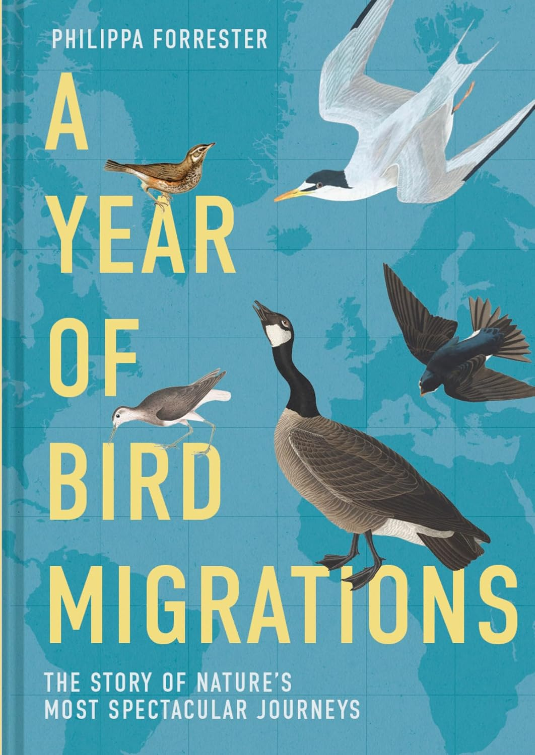 a year of bird migrations