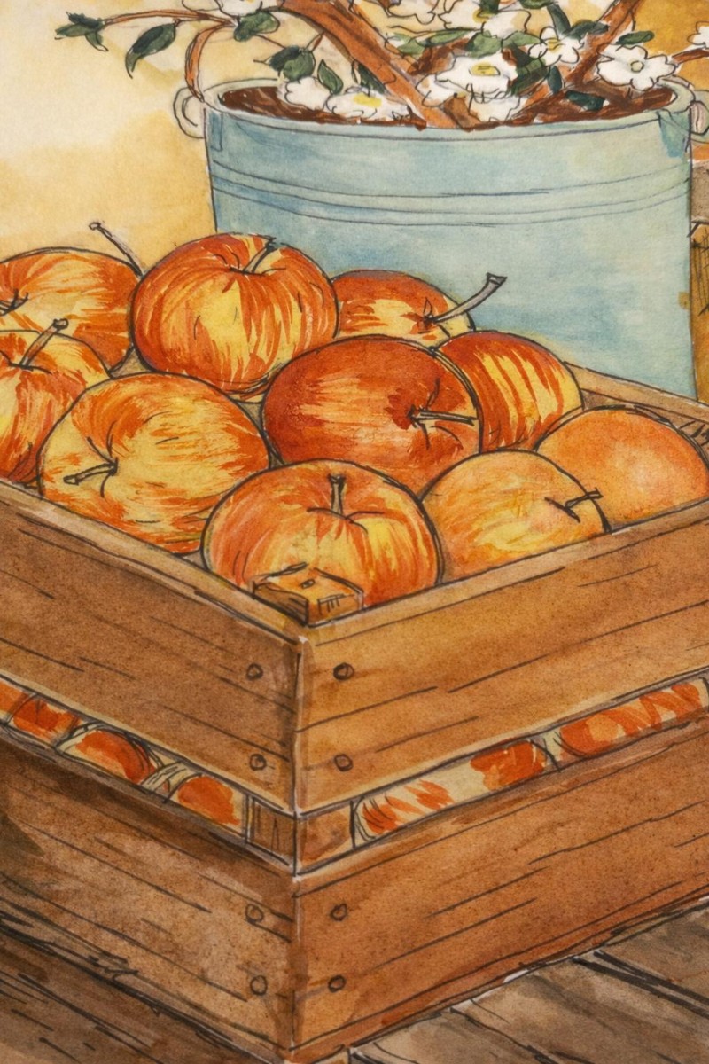 apples
