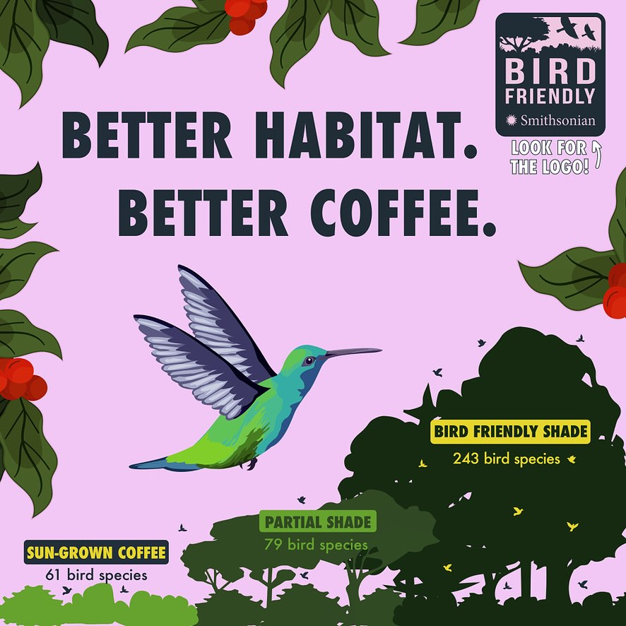bird friendly coffee