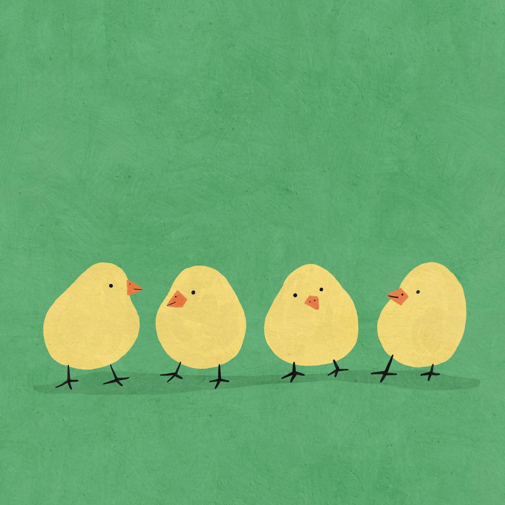 chicks Betsy Siber