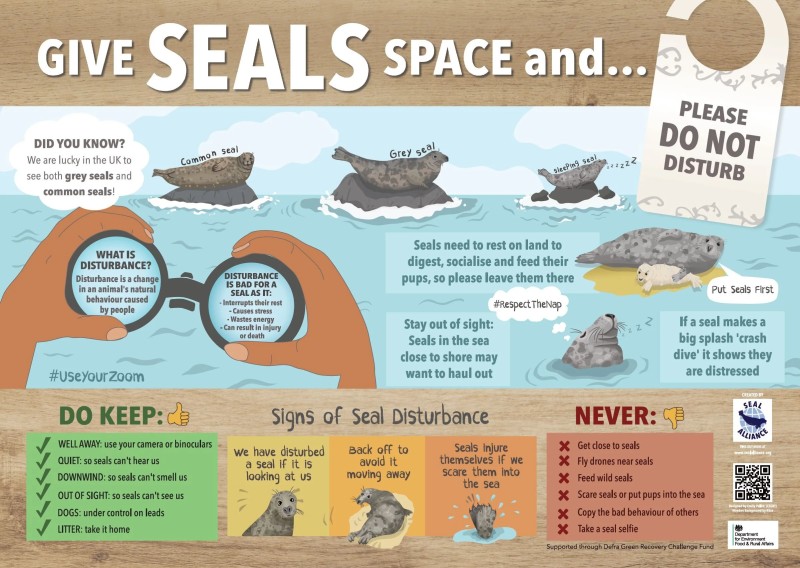 give seals space