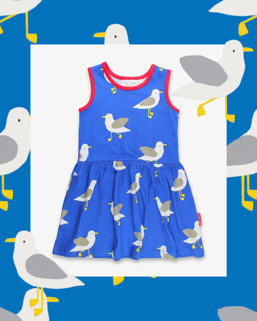 organic cotton dress