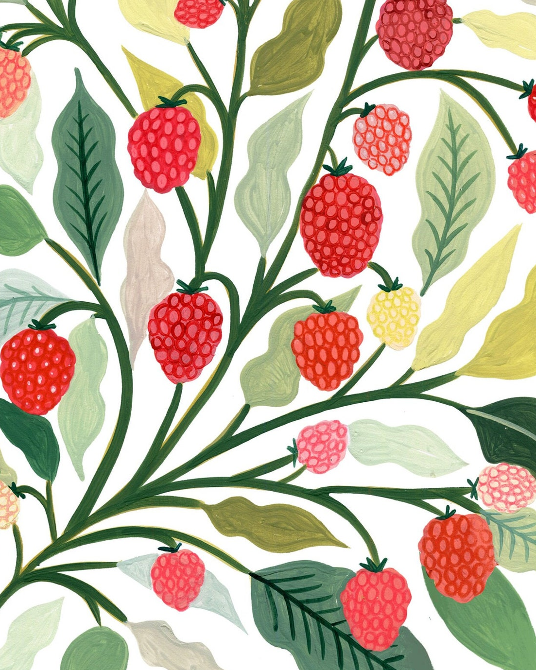 raspberries