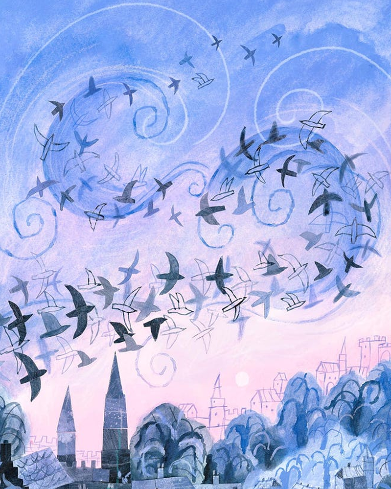 starling murmuration