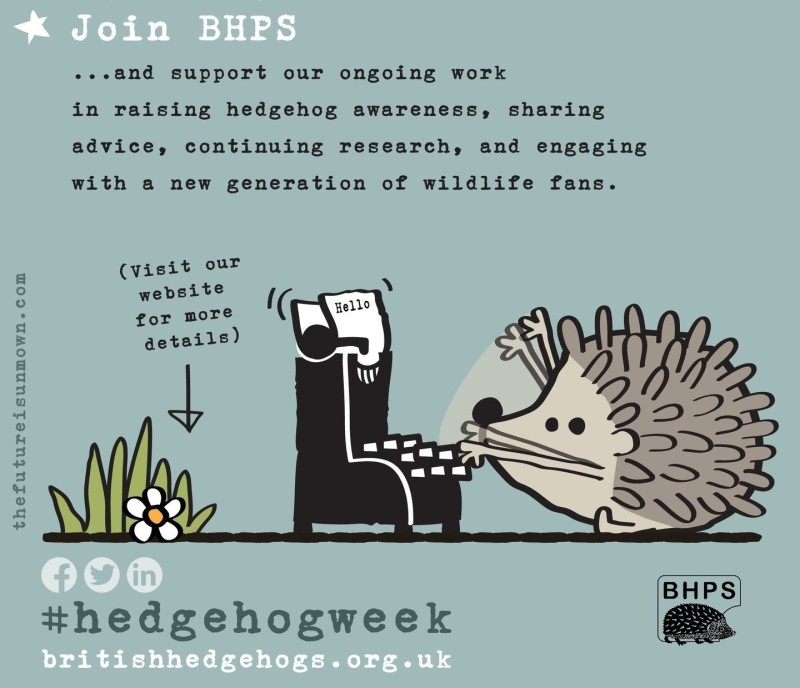 British Hedgehog Preservation Society 