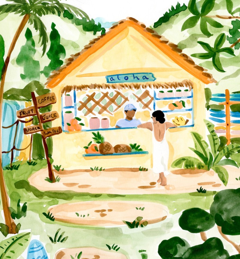Hawaiian beach