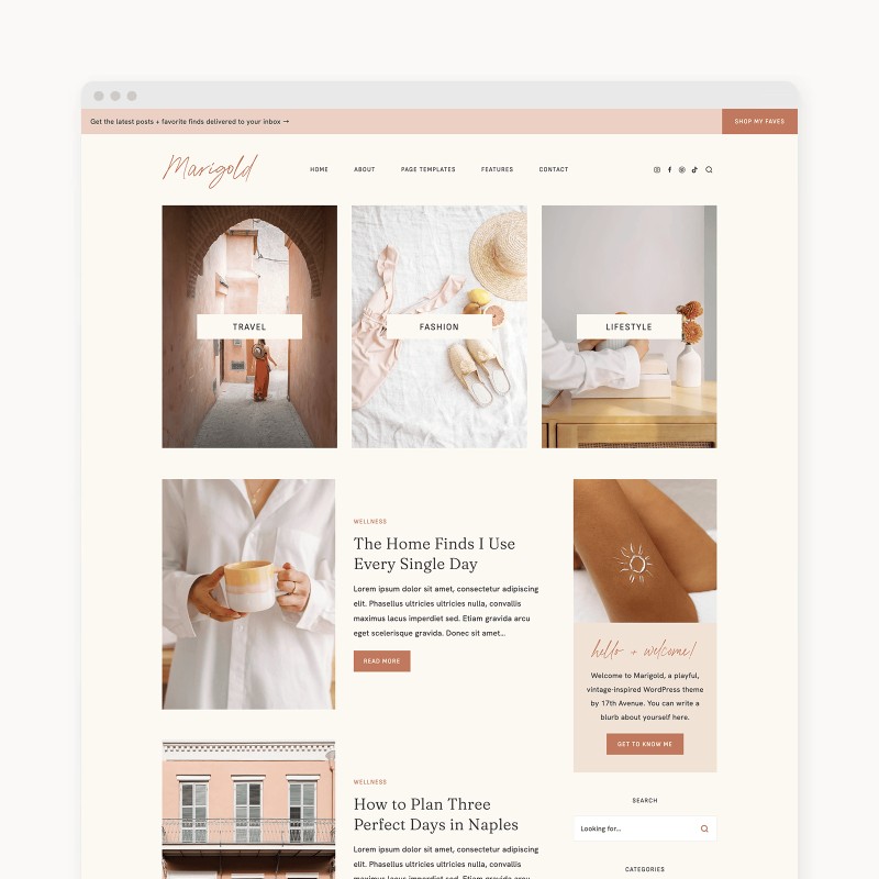 Marigold WordPress theme