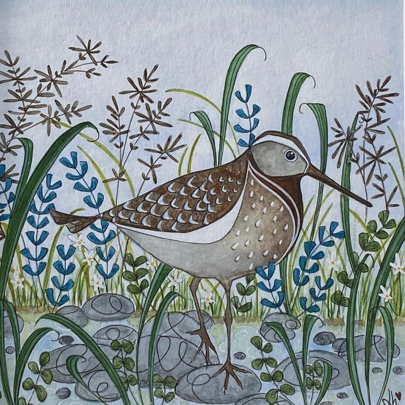 sandpiper