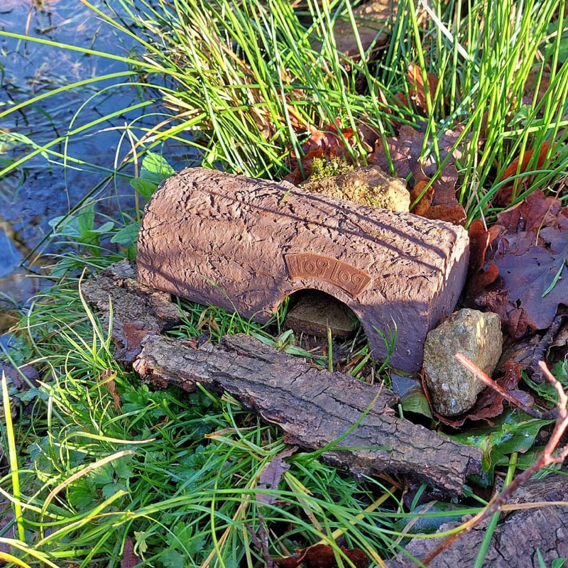Simon King frog log