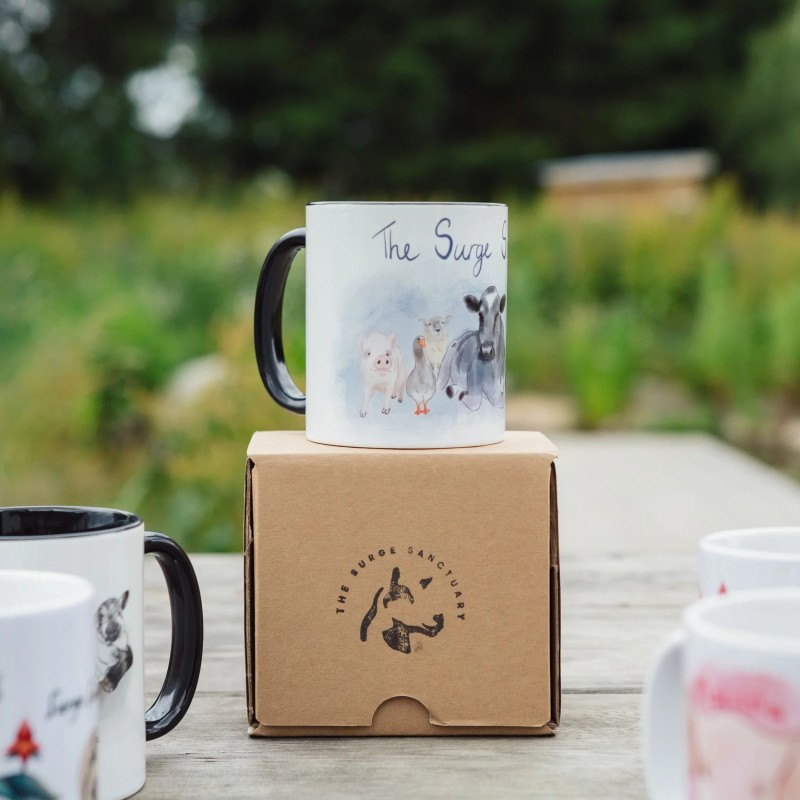 Surge Sanctuary mugs
