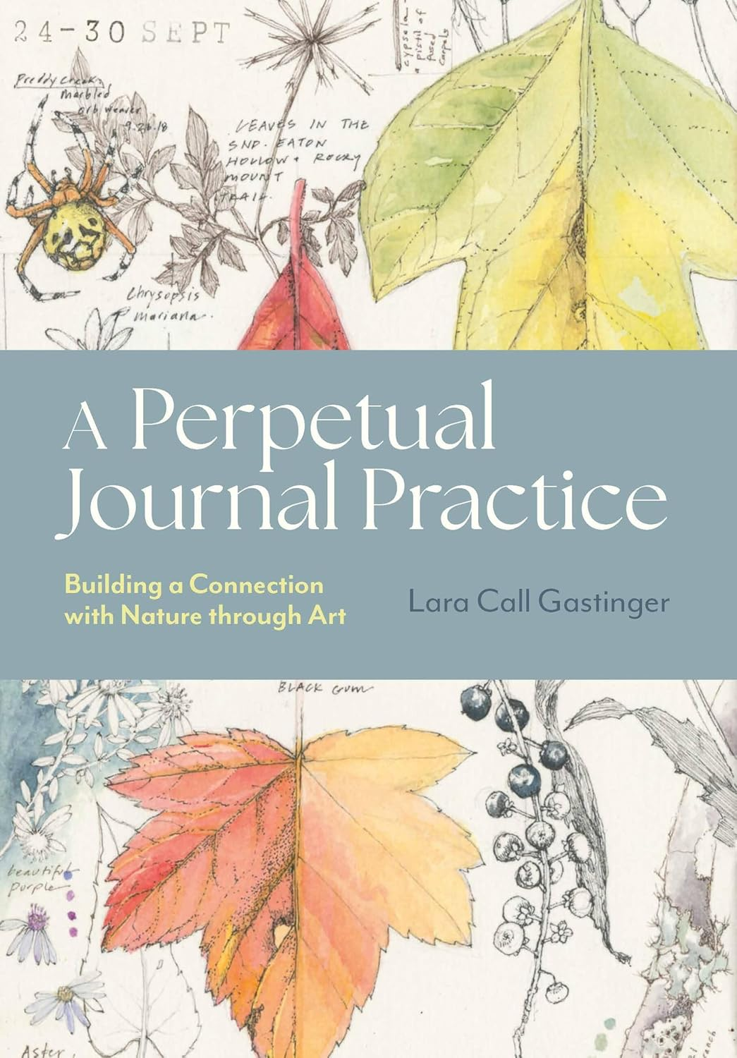 a perpetual journal practice