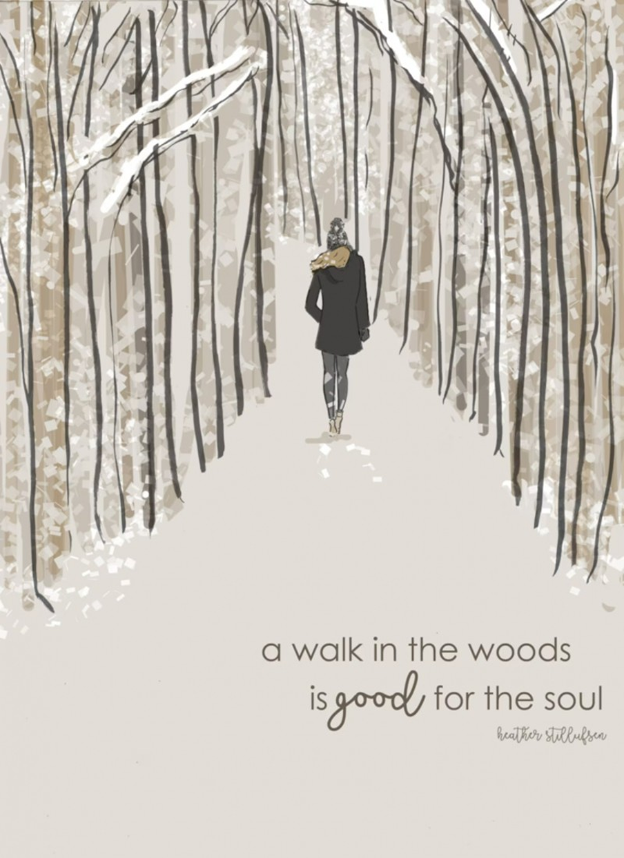 a walk in the woods