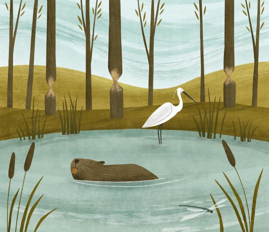 beaver and heron Holly Astle