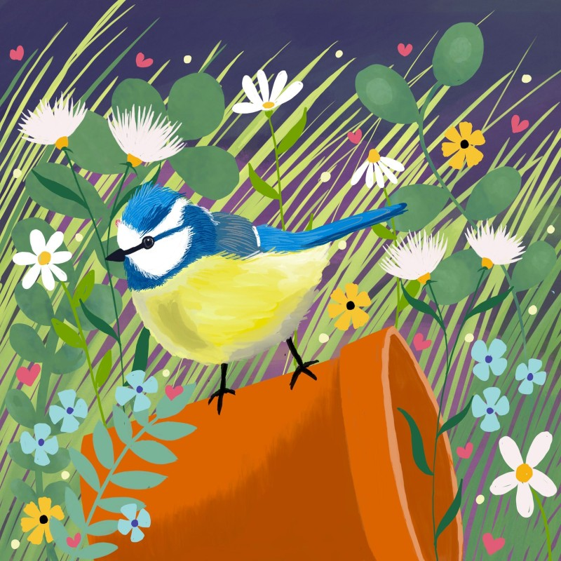 blue tit Caroline Smith