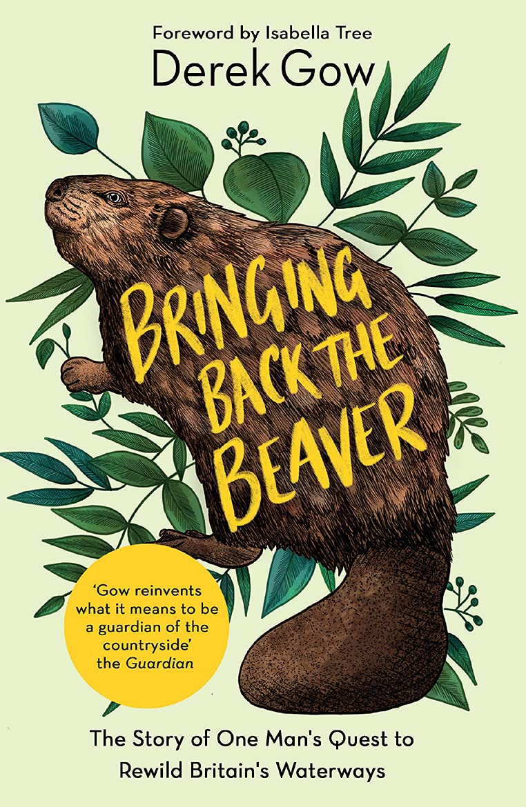 bringing back the beaver
