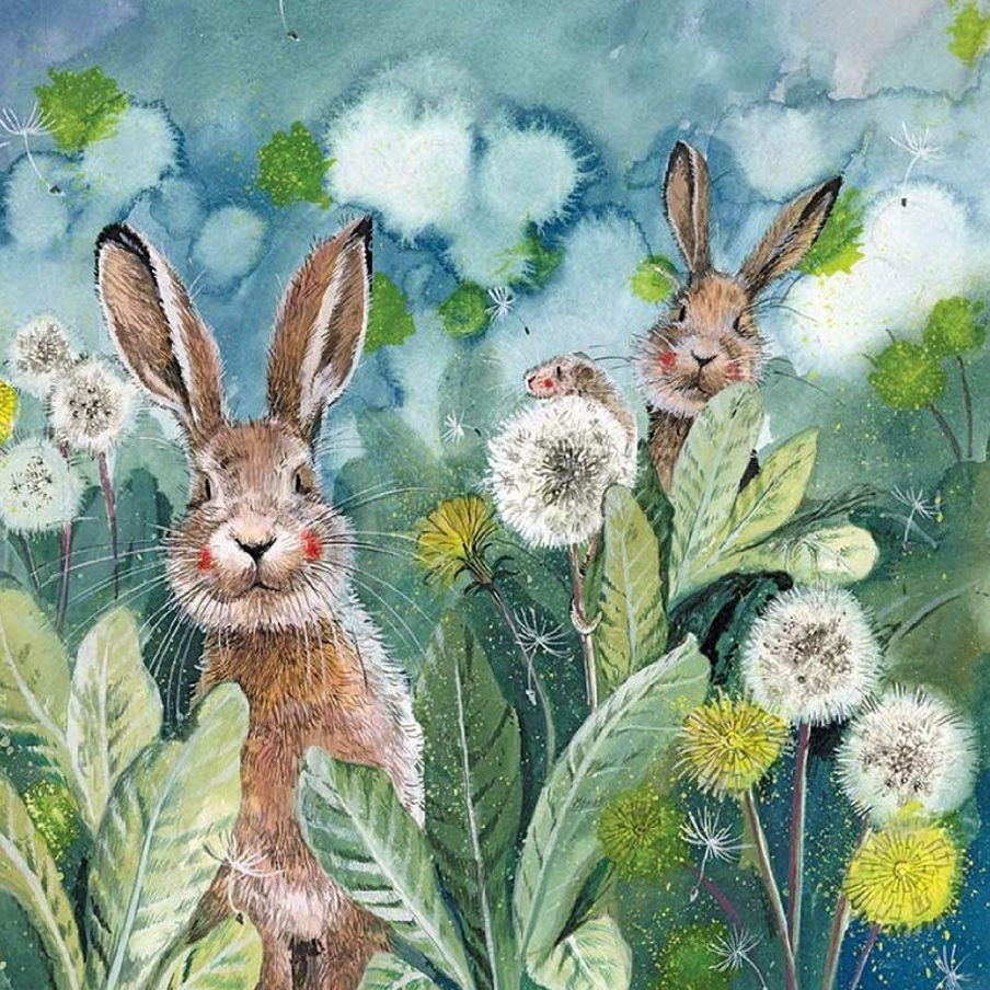 bunnies Alex Clark