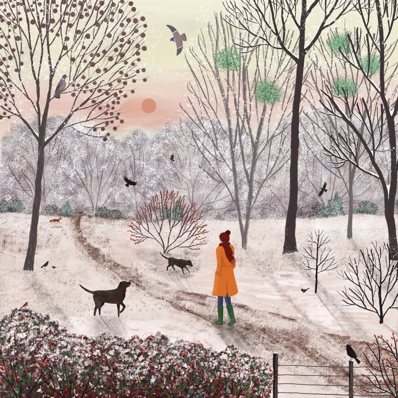 chilly day for a walk