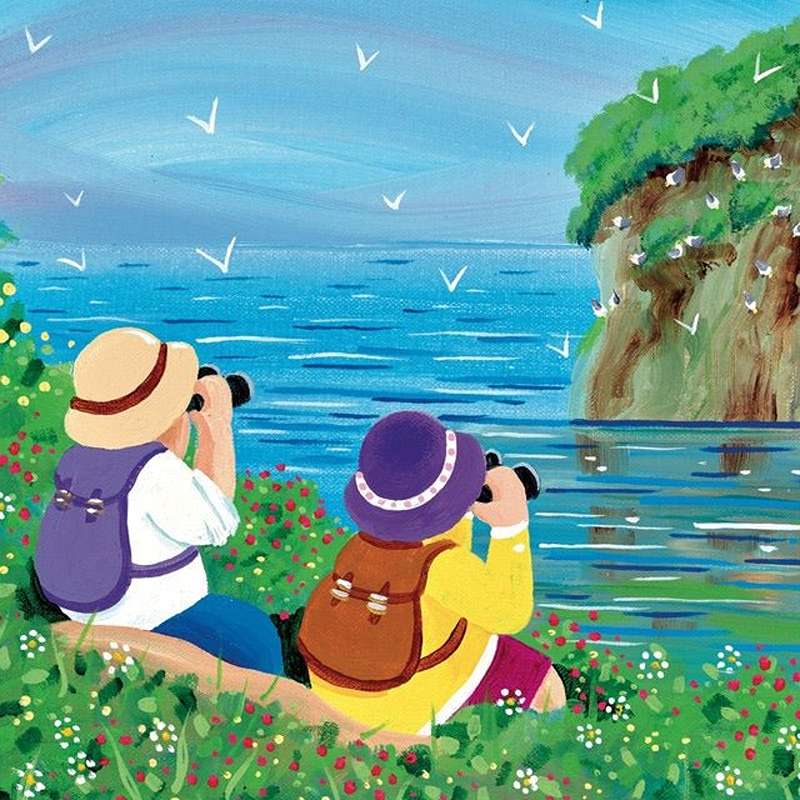 clifftop twitchers