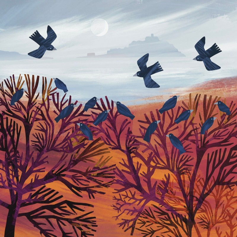 crows roosting