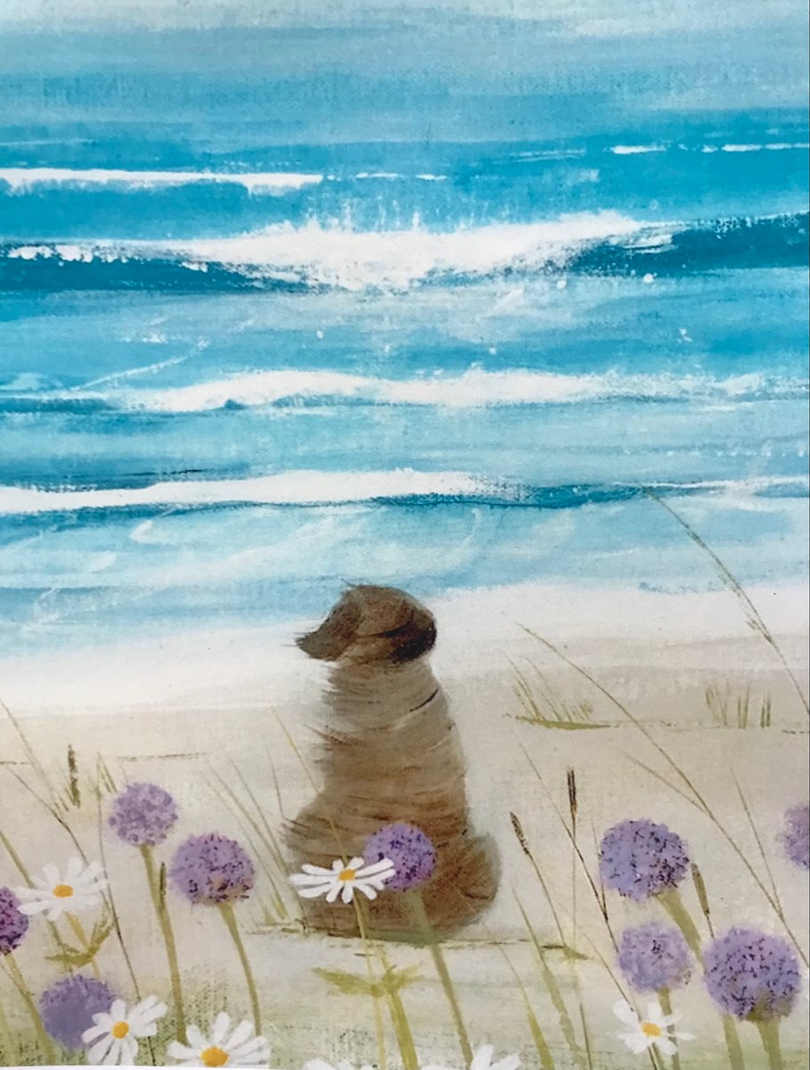 dog at beach Hannah Cole