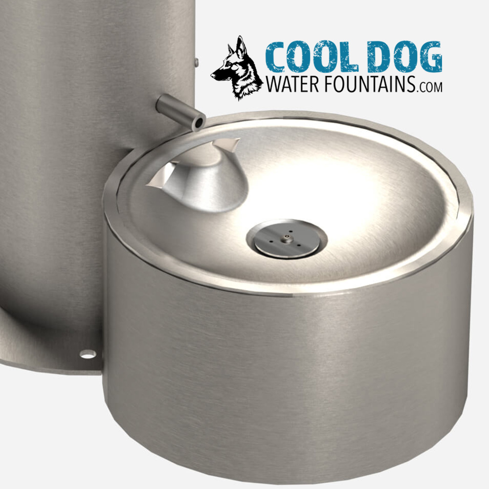 dog drinking water fountain