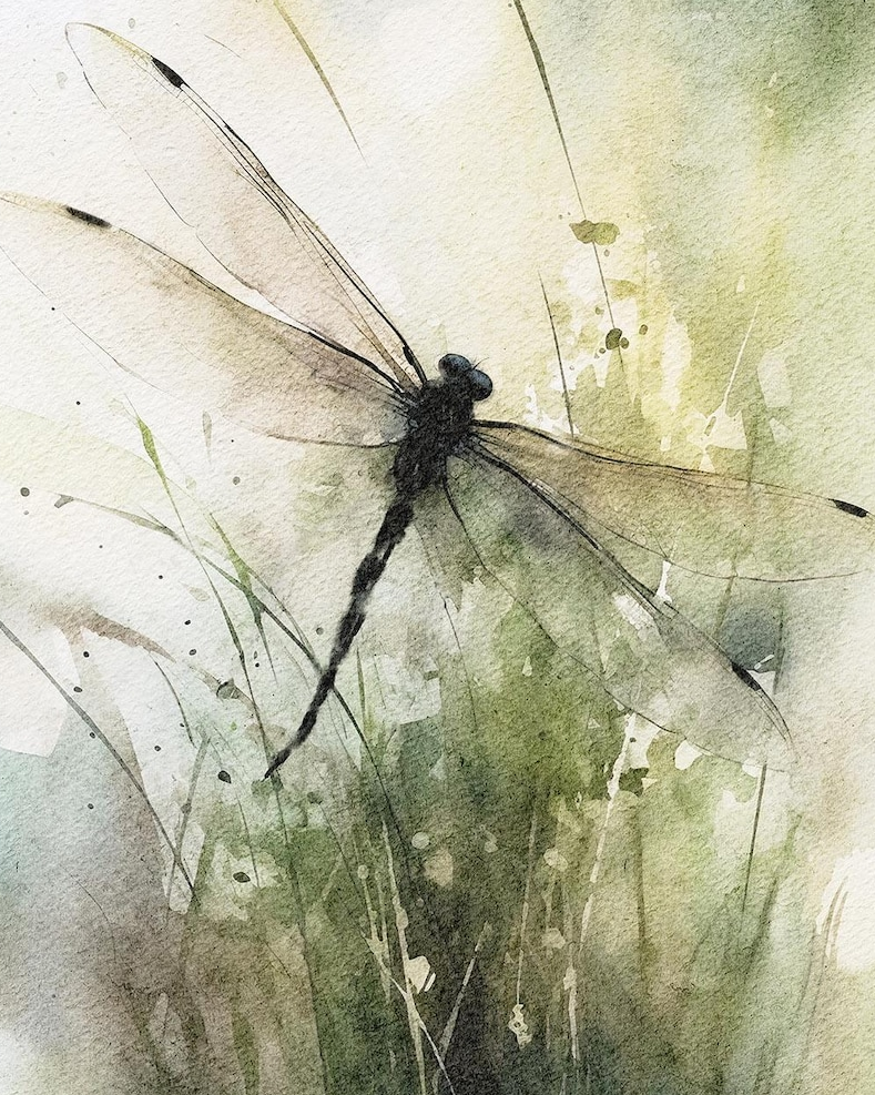 dragonfly